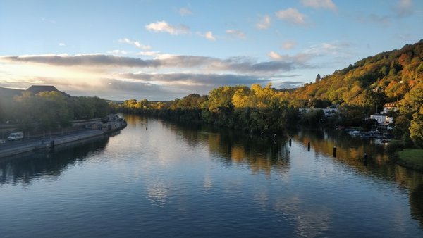 View across the River Main in an autumnal landscape, as seen from the tram in Würzburg.